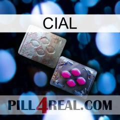 Cial 38